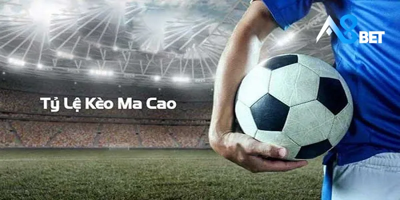 Kèo Macao khi xuất hiện có cách đọc cực đơn giản