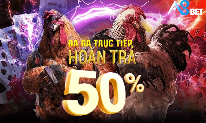 khuyen mai hoan tra da ga 50%